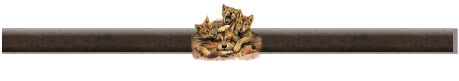 Wolf Webset Divider