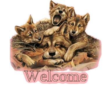 Welcome to Elainna's Page